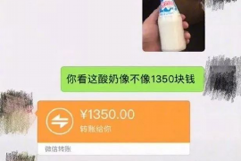 通渭通渭的要账公司在催收过程中的策略和技巧有哪些？